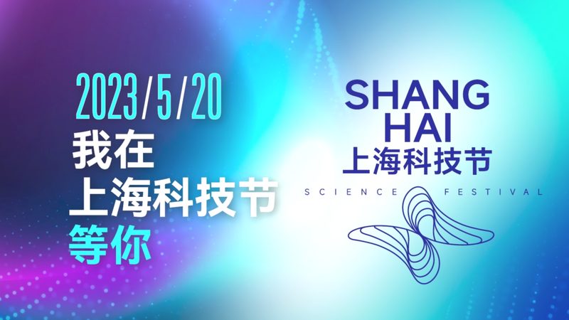 数据湖与机器学习平台：不是二选一，而是协同作战
